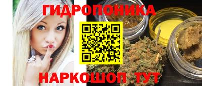 мяу мяу мука Гатчина