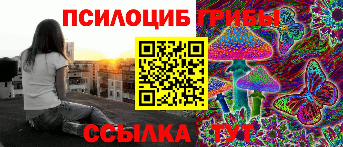 Псилоцибиновые грибы GOLDEN TEACHER Керчь