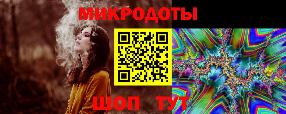 Галлюциногенные грибы Psilocybe Керчь