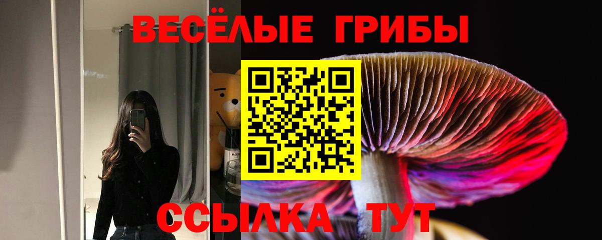 Керчь  Галлюциногенные грибы мухоморы  даркнет сайт  Вход с VPN 