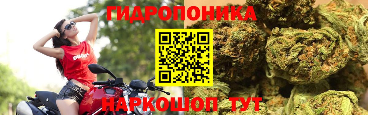 МАРИХУАНА сатива Керчь